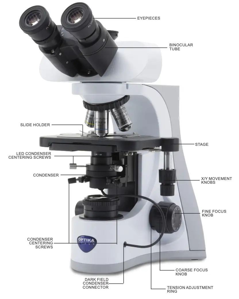 microscopia in campo oscuro